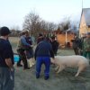 dsc05309