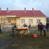 dsc05330