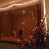 dsc05217