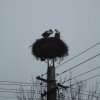 dsc05989