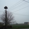 dsc05990