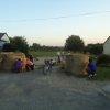 dsc03801