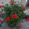 dsc03805