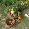 dsc03839