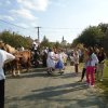 dsc03968