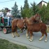 dsc04025