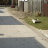 dsc01952_912x684